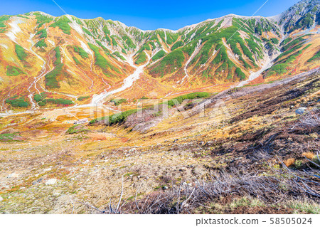 秋天的室堂景色極好的紅葉[富山縣] 58505024