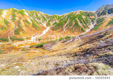 秋天的室堂景色極好的紅葉 富山縣 照片素材 圖片 圖庫