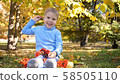 A child in the autumn Park plays and laughs merrily, he plays with yellow leaves and Rowan berries 58505110