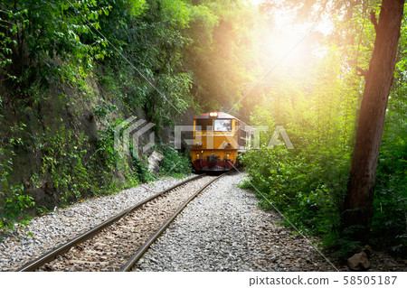 The train on the train tracks and the trees with 58505187
