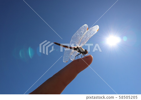 颱風溢出 58505205