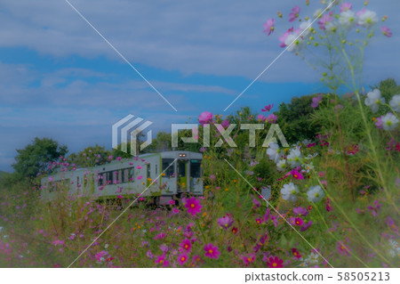 Cosmos train 58505213