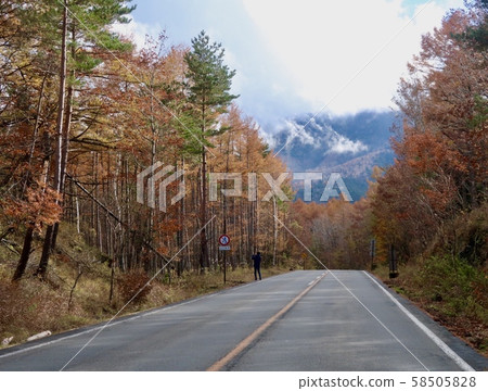 [Autumn leaves] Fuji Subaru Line 58505828
