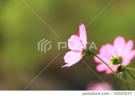 Cosmos 5767 58505837