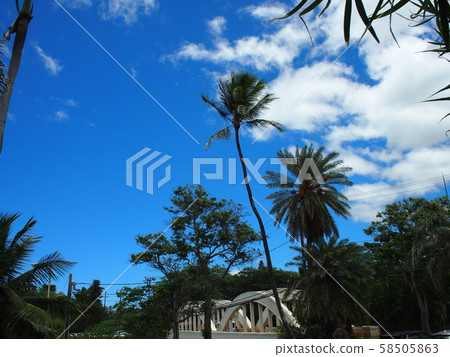 Hawaiian landscape (Haleiwa) Hawaiian landscape (Haleiwa) 58505863
