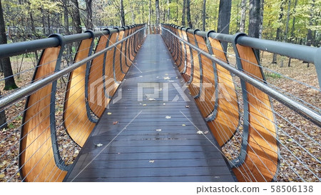 Modern driveway in park 58506138