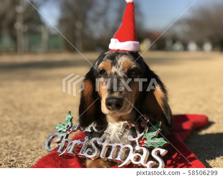 Merry Christmas Merry Christmas 58506299