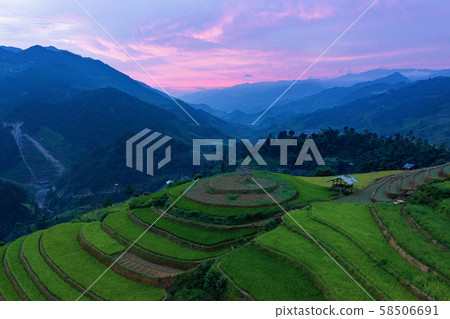 Aerial top view of paddy rice terraces, green Aerial top view of paddy rice terraces, green 58506691