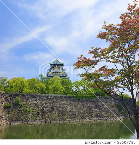 大阪城北側 58507783