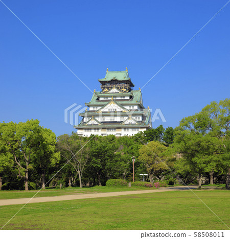 Osaka Castle West side (From Nishinomaru Garden) 58508011