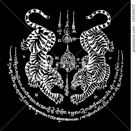 Tiger isolate vector, Line Thai is Thailand Style and Tattoo design. Tiger isolate vector, Line Thai is Thailand Style and Tattoo design. 58508975
