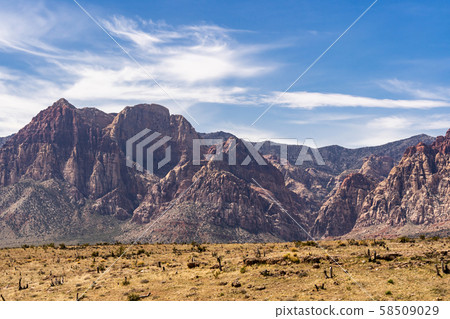 Red Rock Canyon Las Vegas Nevada USA Red Rock Canyon Las Vegas Nevada USA 58509029