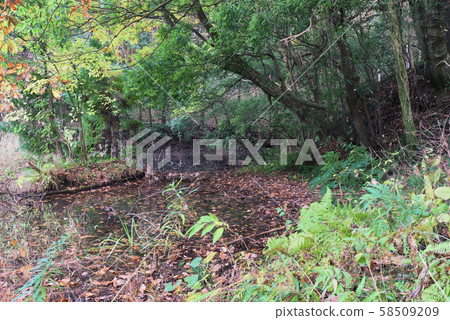 千葉縣坂井市片山市塔岡努卡公園沼澤 千葉縣坂井市片山市塔岡努卡公園沼澤 58509209