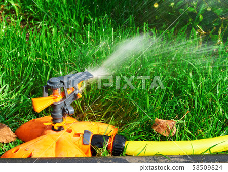 Sprinkler head of automatic watering the bush, 58509824