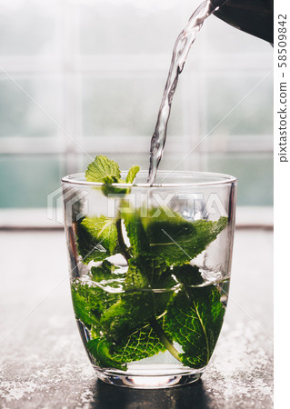 Fresh mint tea near the window. Cozy home or health concept Fresh mint tea near the window. Cozy home or health concept 58509842
