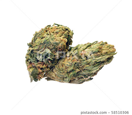 Medical Marijuana isolated on white background. Therapeutic and medicinal cannabis. 58510306