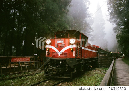 Alishan Shenmu Station 58510820