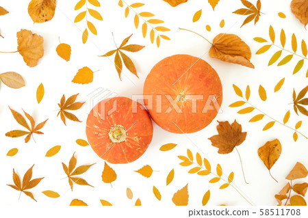 Autumn composition. Fall leaves and pumpkins on white background. Thanksgiving day concept Autumn composition. Fall leaves and pumpkins on white background. Thanksgiving day concept 58511708