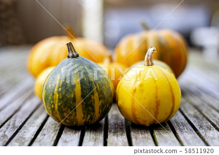 Autumn orange pumpkins on wooden board, rustic seasonal background 58511920