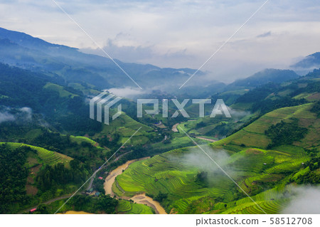 Aerial top view of paddy rice terraces, green Aerial top view of paddy rice terraces, green 58512708