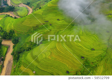Aerial top view of paddy rice terraces, green Aerial top view of paddy rice terraces, green 58512709