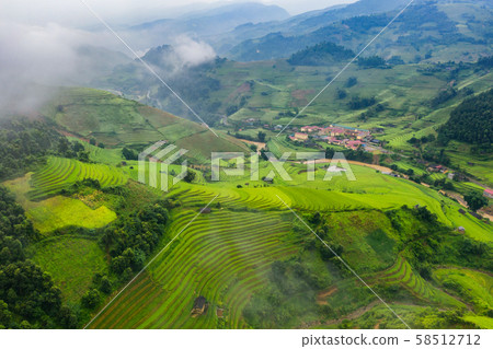 Aerial top view of paddy rice terraces, green 58512712