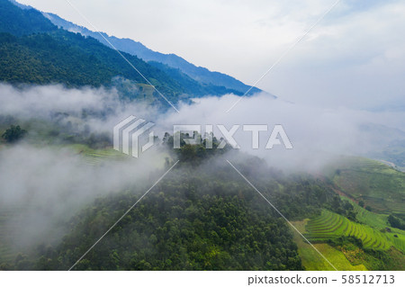 Aerial top view of paddy rice terraces, green 58512713