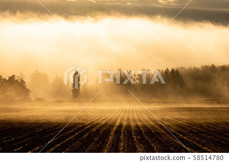 美瑛的早晨 58514780