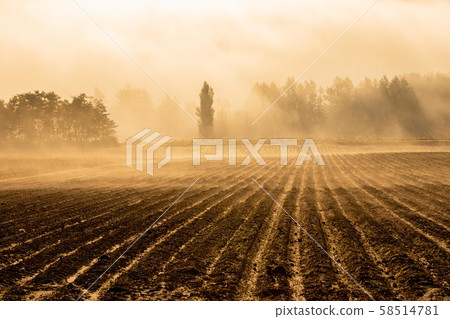 Morning of Biei Morning of Biei 58514781
