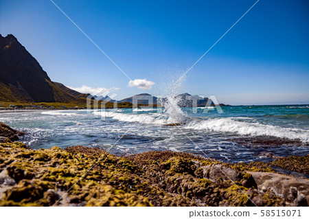 Lofoten archipelago islands beach 58515071