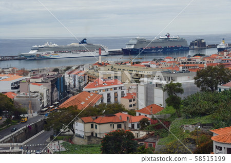 葡萄牙領土，馬德拉，豐沙爾，遊輪 58515199