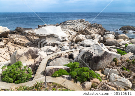 Tokunoshima Mushiroase 58515611