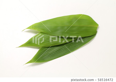 竹葉，樹葉，烹飪墊層 58516472