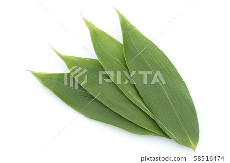 竹葉子，葉子，烹飪，海鮮底襯 58516474