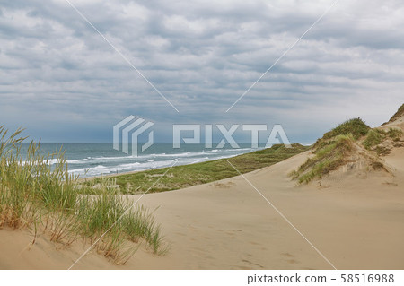 Seaside and landscape near town of Skagen in 58516988