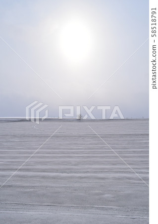 Biei snow melting agent pattern Biei snow melting agent pattern 58518791