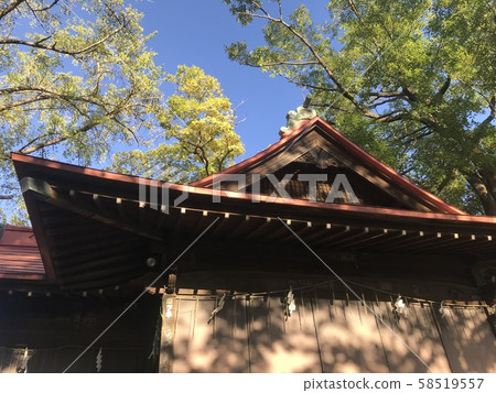 玉川淺間神社的神樂傳 玉川淺間神社的神樂傳 58519557