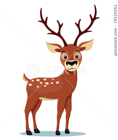 Wild deer with big horns on a white background. 58520261