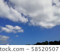 天空1 58520507