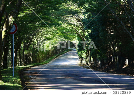 一條路 58520889