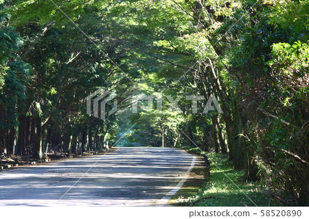一條路 一條路 58520890
