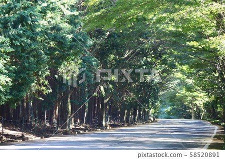 一條路 一條路 58520891