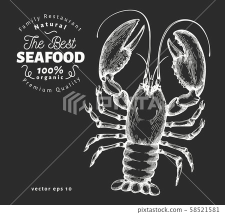 Lobster illustration. Hand drawn vector seafood Lobster illustration. Hand drawn vector seafood 58521581