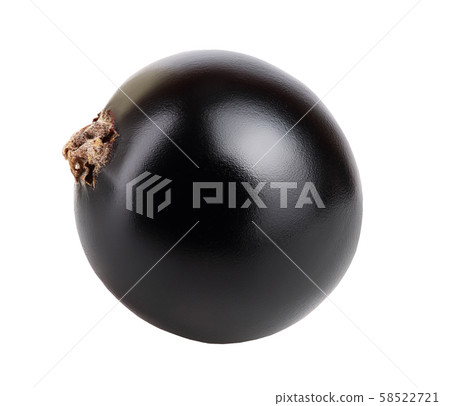 One black currant isolated on white background One black currant isolated on white background 58522721