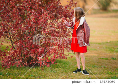 Adorable little girl at beautiful autumn day outdoors Adorable little girl at beautiful autumn day outdoors 58523069