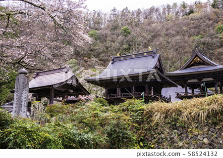 (Minobu Town, Yamanashi Prefecture) Quietly lying in the mountains, Hogain Temple's cherry blossom season (Minobu Town, Yamanashi Prefecture) Quietly lying in the mountains, Hogain Temple's cherry blossom season 58524132