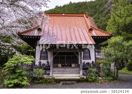 (山梨縣信濃町)靜Ho的山上,御殿寺,櫻花盛開的季節 (山梨縣信濃町)靜Ho的山上,御殿寺,櫻花盛開的季節 58524134