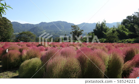 永野花田（水） 58524221