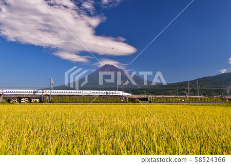 Good harvest Good harvest 58524366