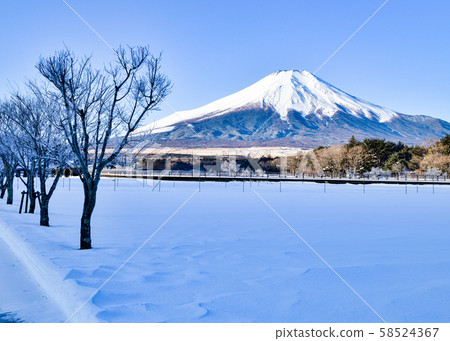 Snow Flower City 58524367